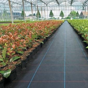 Hot Sale Xinhe CE Approved Rolls or Carton Customized Weed Mat Ground Cloth