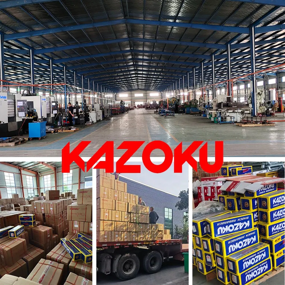 2025 Auto Car Parts Shock Absorber for All Car Models