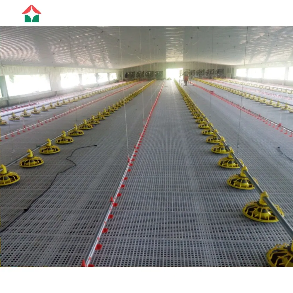 Commercial Steel Structure Poultry House for Layer and Broiler Chicken