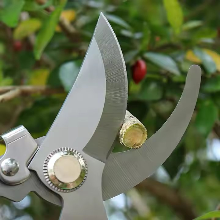 Garden Pruning Shears Gardening Tools Stainless Steel Shears for Pruning Branches Branch Scissors
