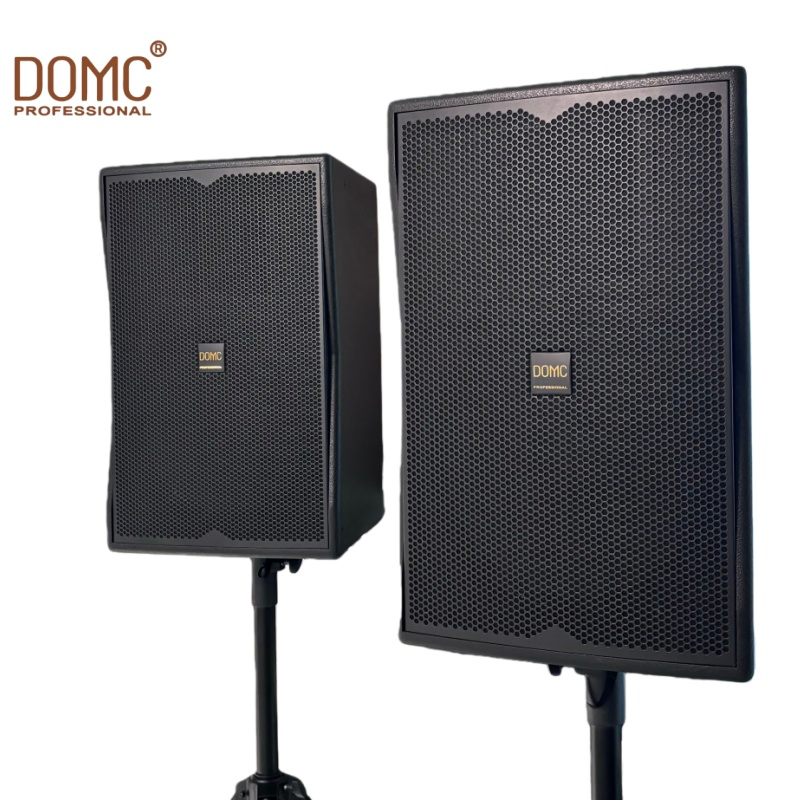 Domc K215 15-Inch Speaker - Ideal for Concerts and Festivals
