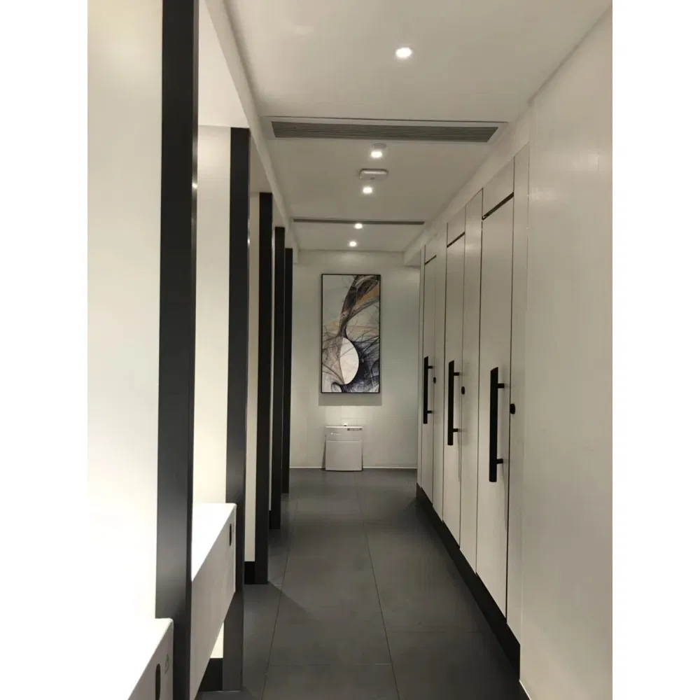 No Swelling Full Height Phenolic Board Schools HPL Panel Toilet Cubicle Partition Board