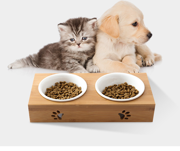 Elevated Dog Pet Feeder Station with Stainless Steel Bowls