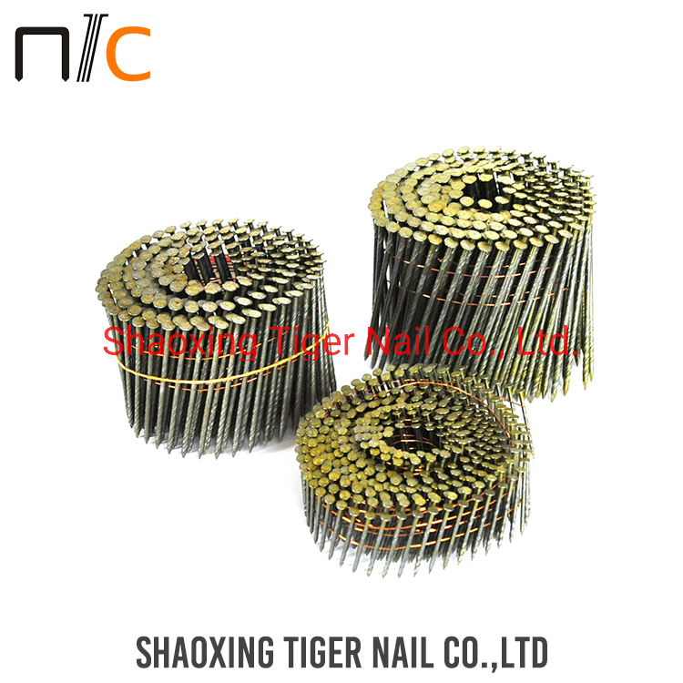 Coil Nail2.5 (6.2) for Stapler