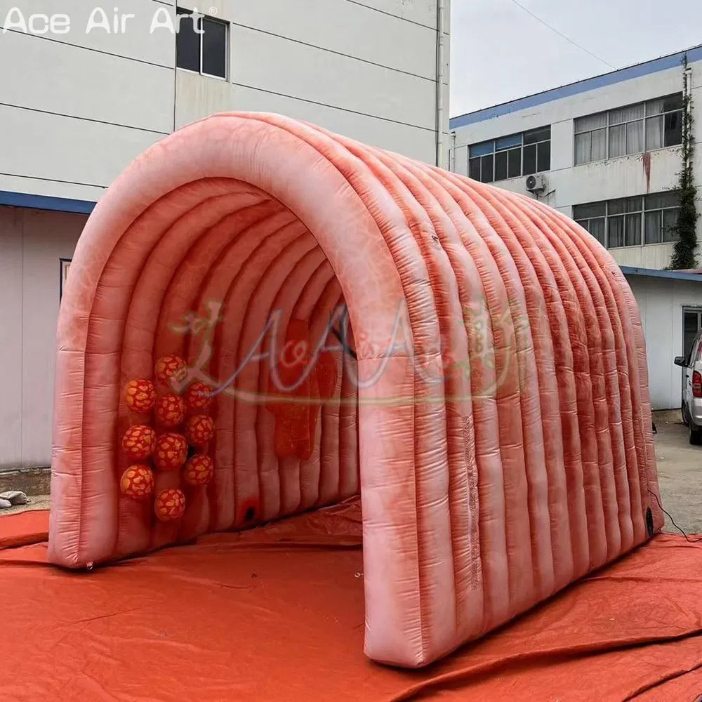 Customized Inflatable Cecum Model Inflatable Event Promotion Intestine for Display Safety Education