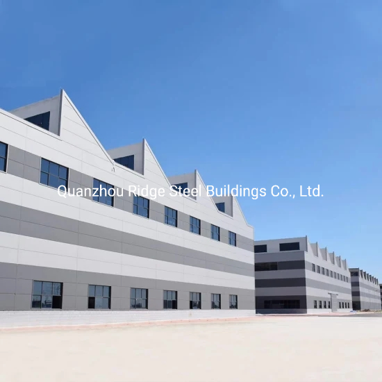 Large Span Galvanized Prefabricated Light Steel Structure Workshop