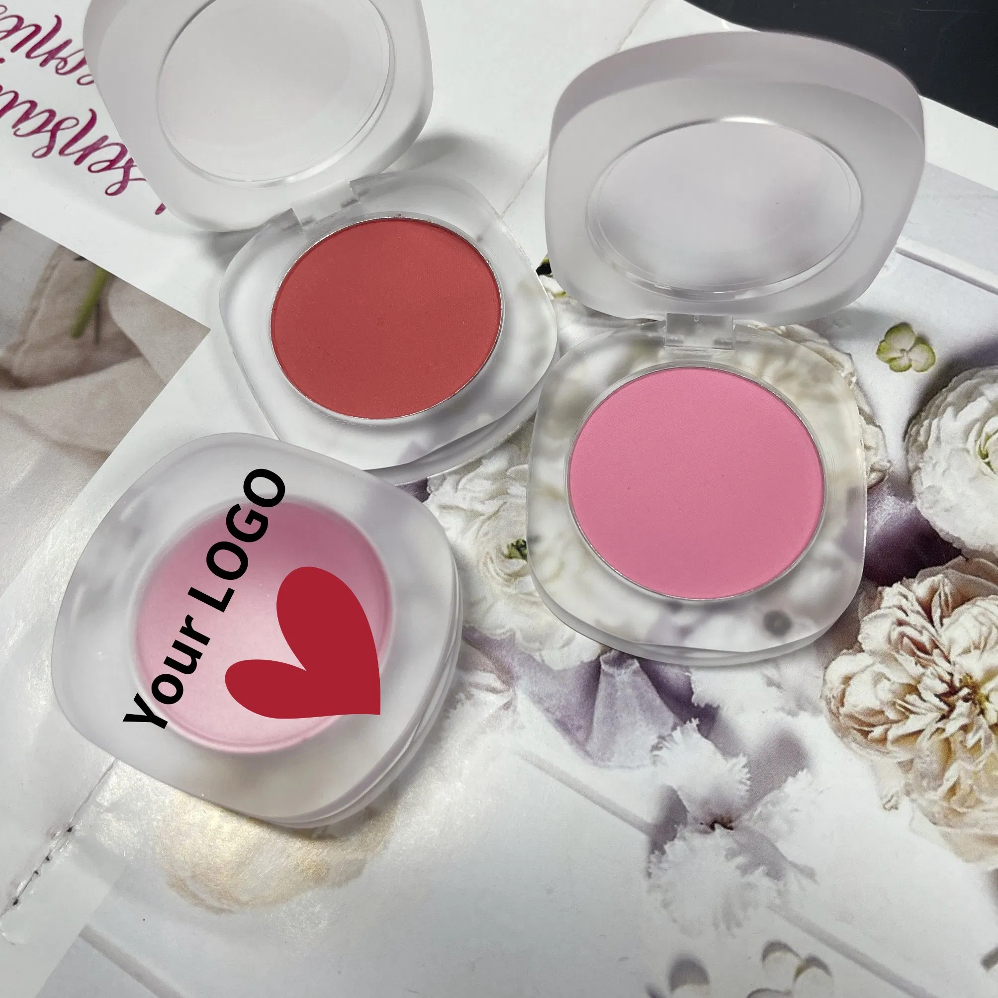 Wholesale 15-Color Powder Rouge Long-Lasting Matte Powder Blush with Private Label Makeup Products