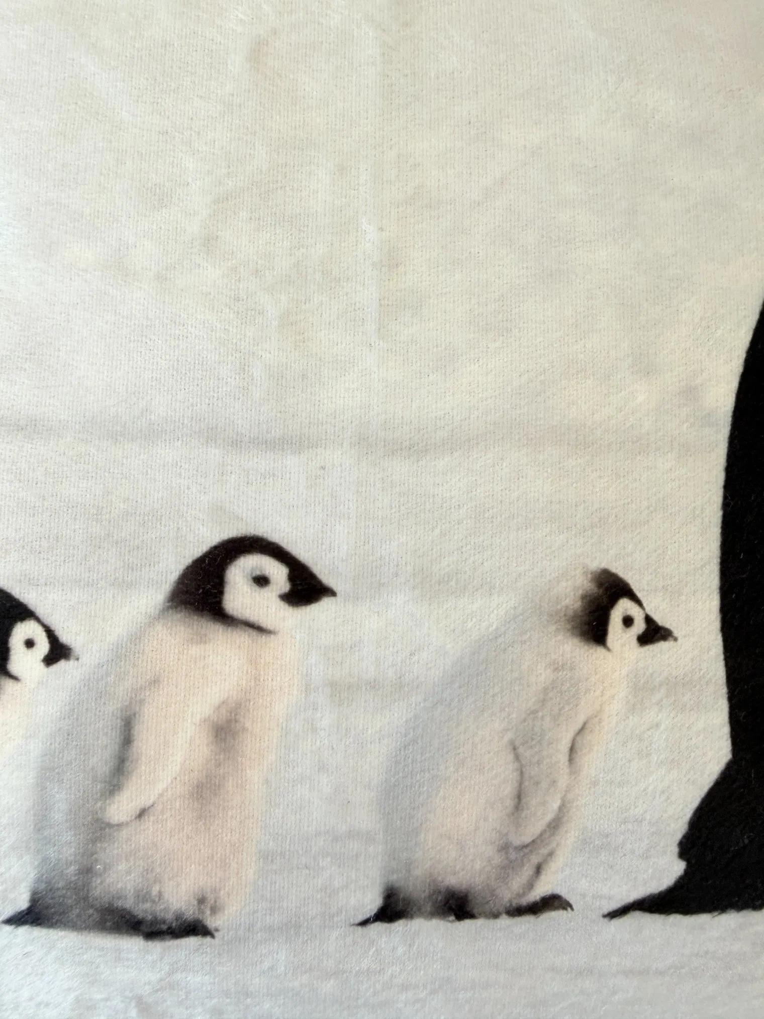 White Penguins Print Polyester Velvet Square Throw Pillow with Polyester Padding for Garden Outside or Home Decoration