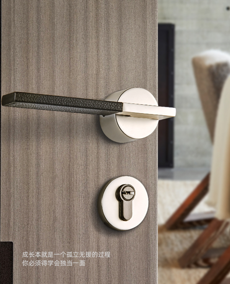 Simple Desin /Beautifully Carved Handle Door Lock
