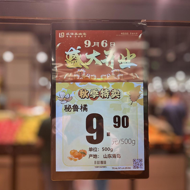 Innovative 10.1" Single-Display LCD Screen for Effective Marketing