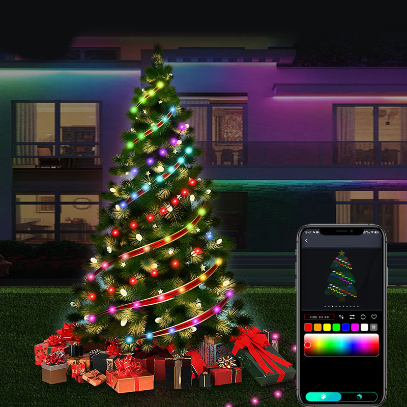 Factory Price Intelligent Point Control LED Outdoor Leather String Light