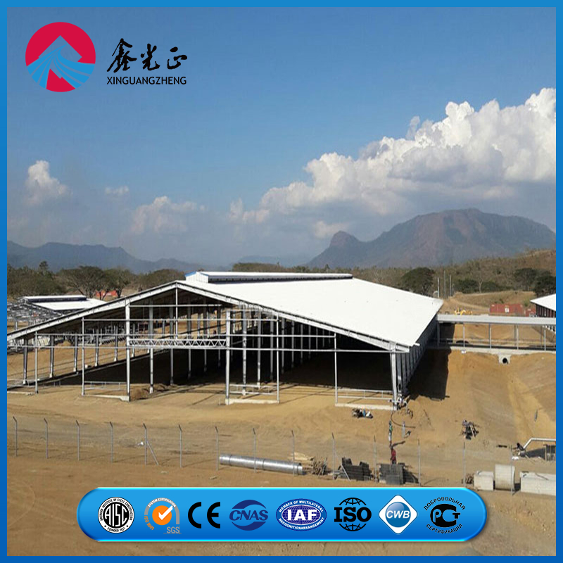 Reinforced Joint Steel Frame Assembly System Chicken Prefab Metal Storage Farming Equipment Steel Structure Sheep/Goat/Pig/Hog/Cattle/Cow/Poultry House/Shed