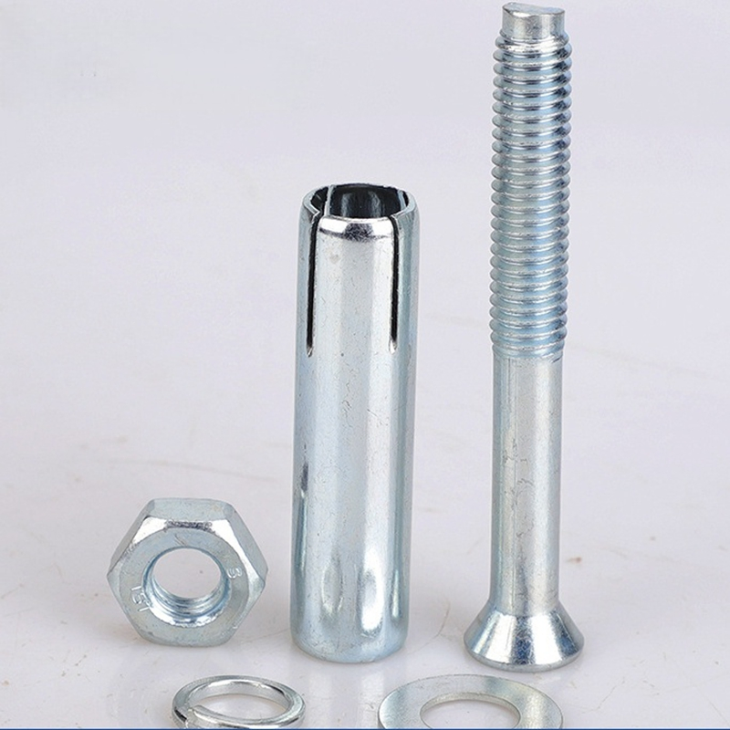 Carbon Steel OEM/Oed Galvanized Steel Expansion Bolt