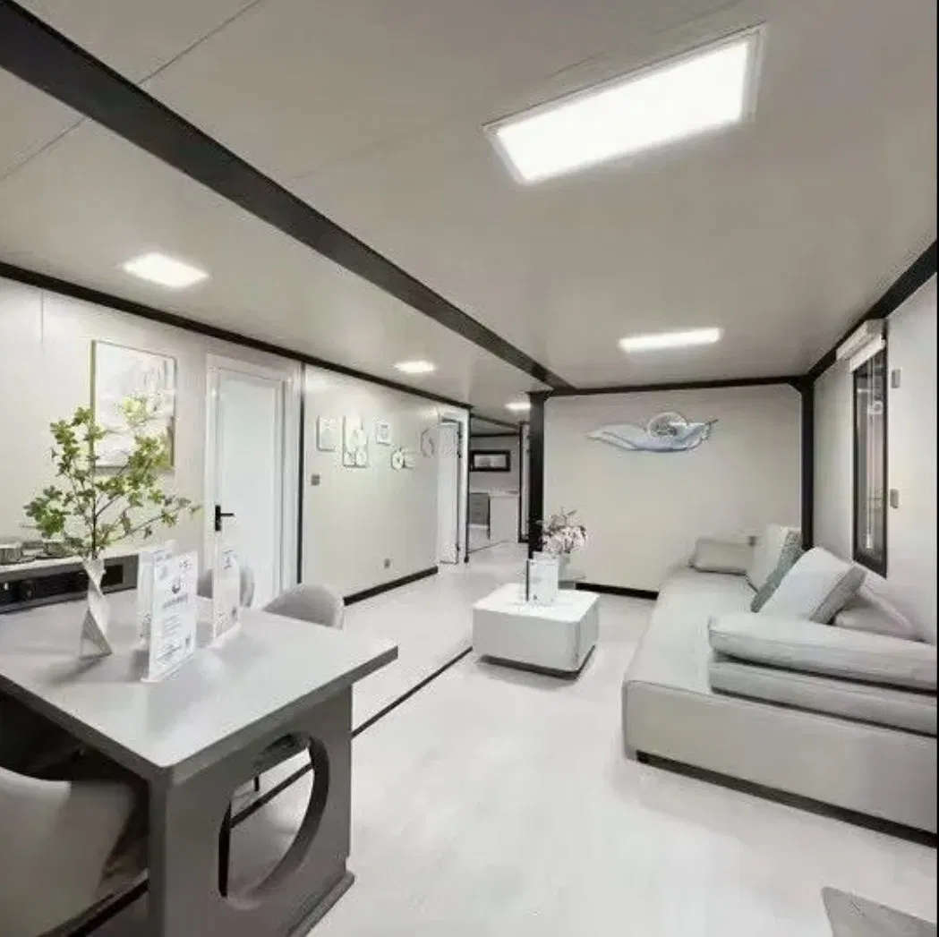 Customized Luxury Modular Homes Prefabricated Container House Expandable Container House