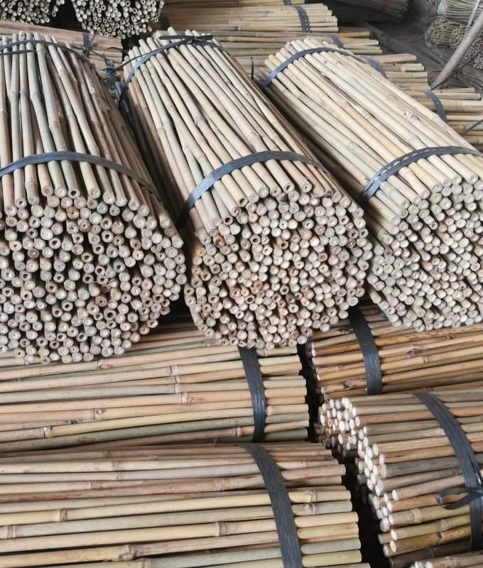 Bamboo Pole/ Strips /Support / Body