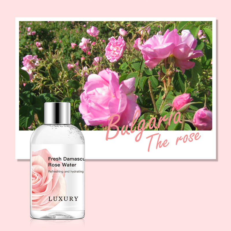 Organic Luxury Hydrating Rose Face Toner Soothing & Calming Floral Water for Sensitive Skin Pore-Minimizing Formula Skin Care Facial Toner