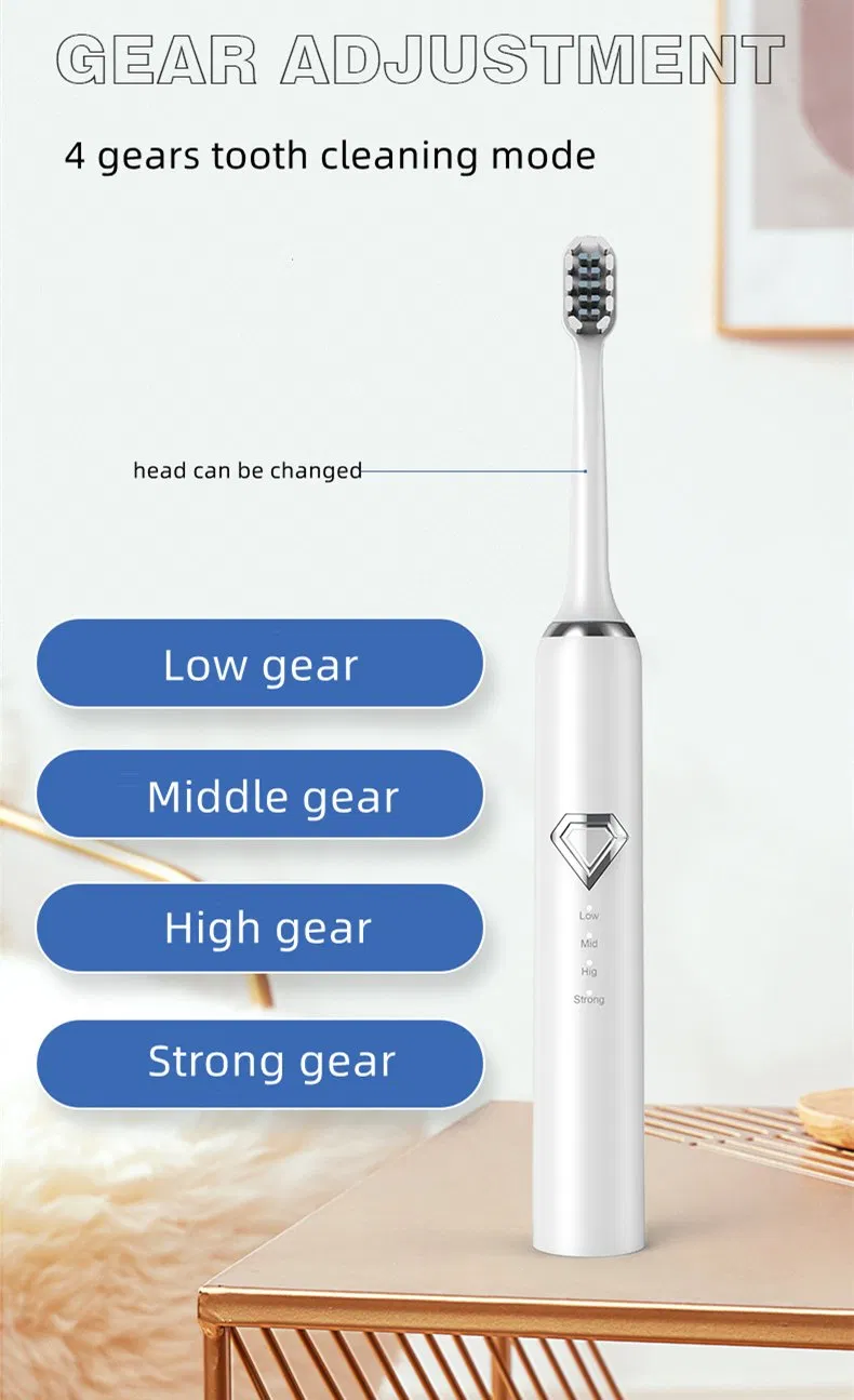 Electric Toothbrush 2 in 1 Remove Dental Calculus Rechargeable Toothbrush
