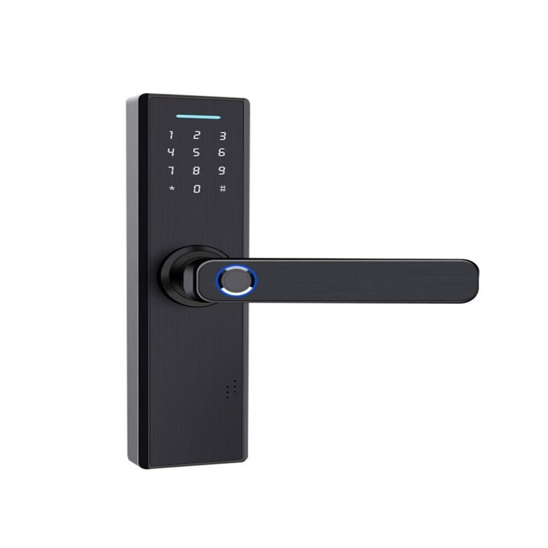 Industrial-Strength Anti-Violence Smart Door Lock