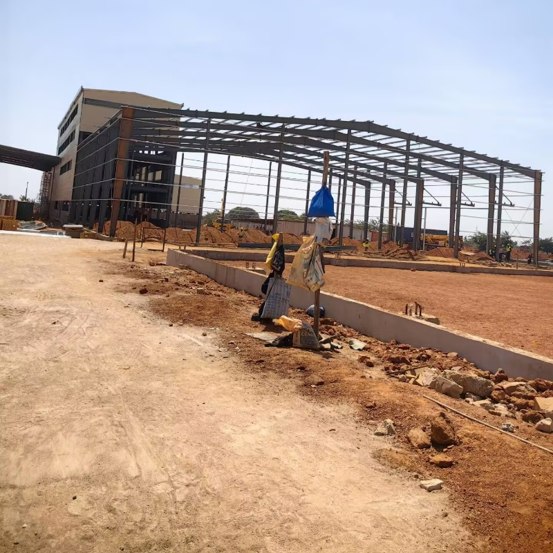 Popular Wholesale Industrial Prefabricated Steel Structure Mill Plant with Low Cost