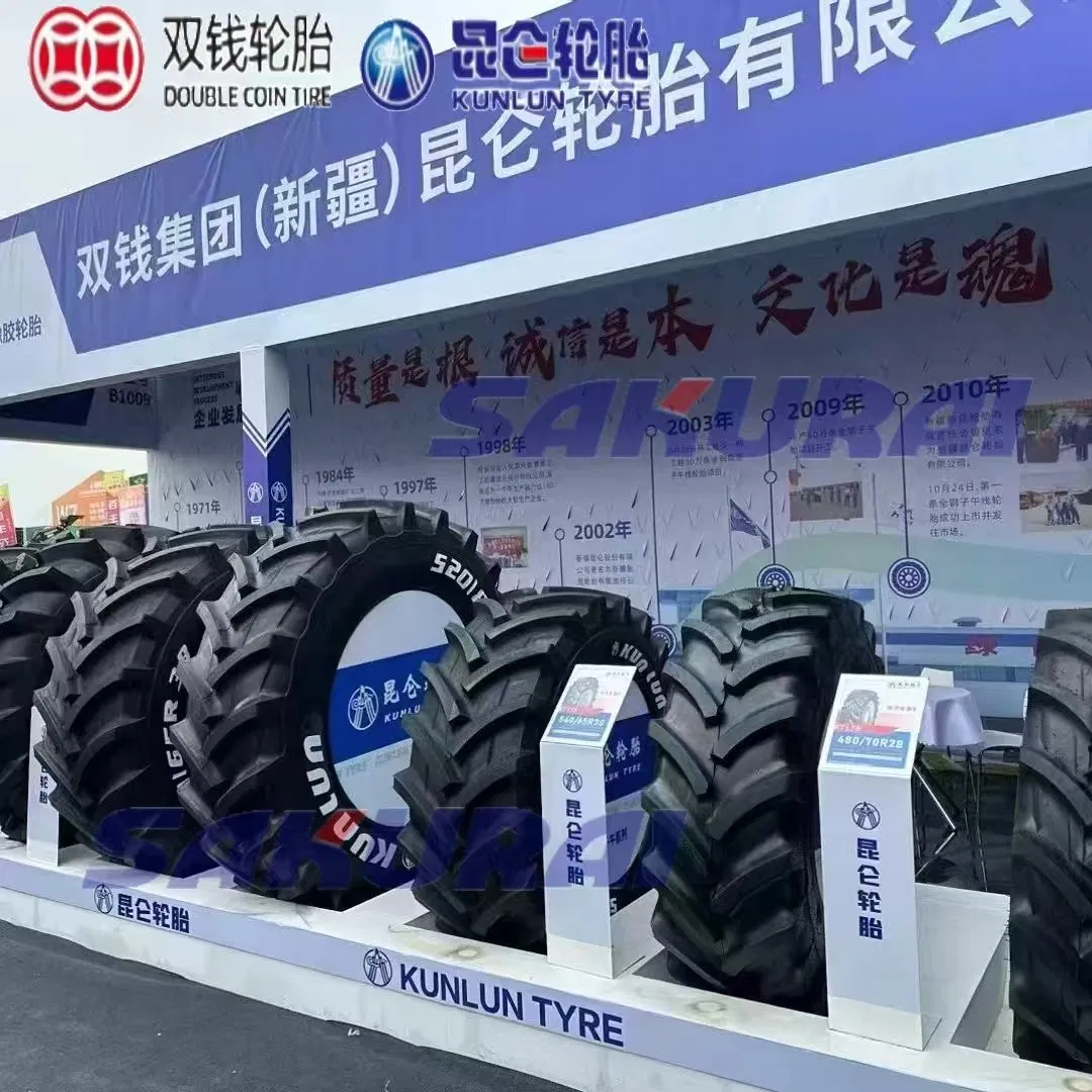 Double Coin Kunlun 8.25-16 / 8.25-20 Truck OTR Tires