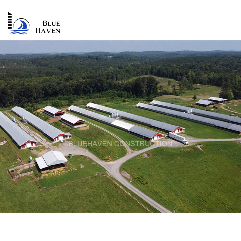 Steel Structure Layer Egg Chicken Cage Broiler Poultry Farm House