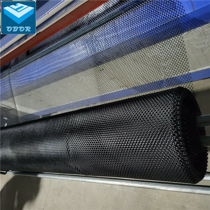 HDPE Geonet Plastic Mesh and Netting High Quality UV Resistance Geonet Price