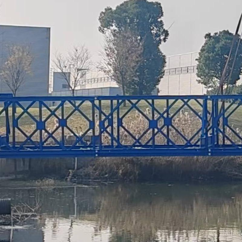 Heavy-Duty Portable Bailey Steel Truss Bridges for Global Markets