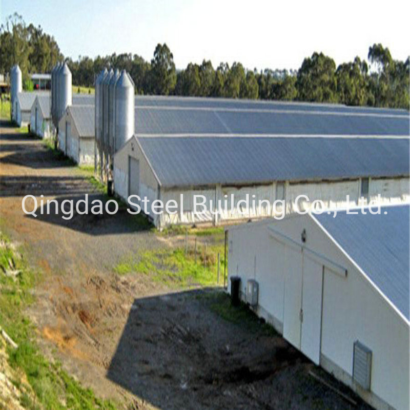 China Low Cost Steel Structure Chicken Farm Building