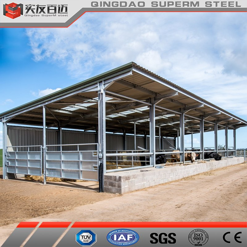 Prefabricated Cattle Goat House Steel Structure Dairy Farm Building