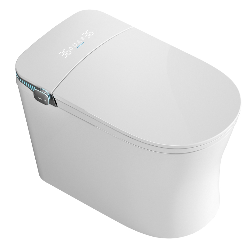 Fashionable and Highly Popular Intelligent Toilet