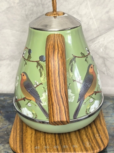 Retro Cordless Boil Dry Protection Stainless Steel Electric Kettle