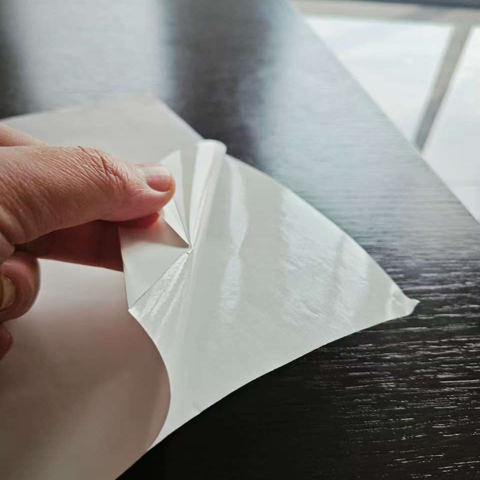 Export Self Adhesive Paper by Sheet or Roll