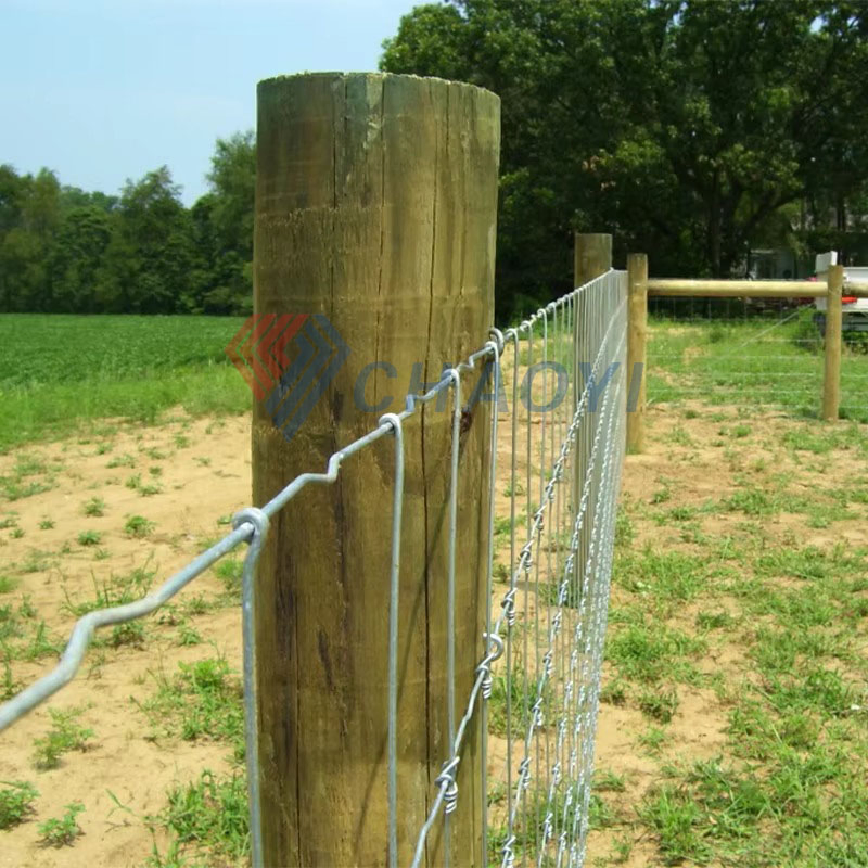2025 Durable Fixed Knot Field Farm Fencing for Secure Livestock Protection
