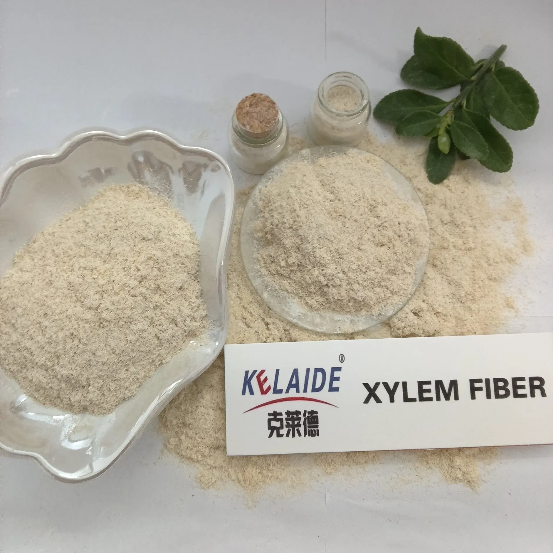 High-Quality Wood Cellulose Fiber Xylem Fiber