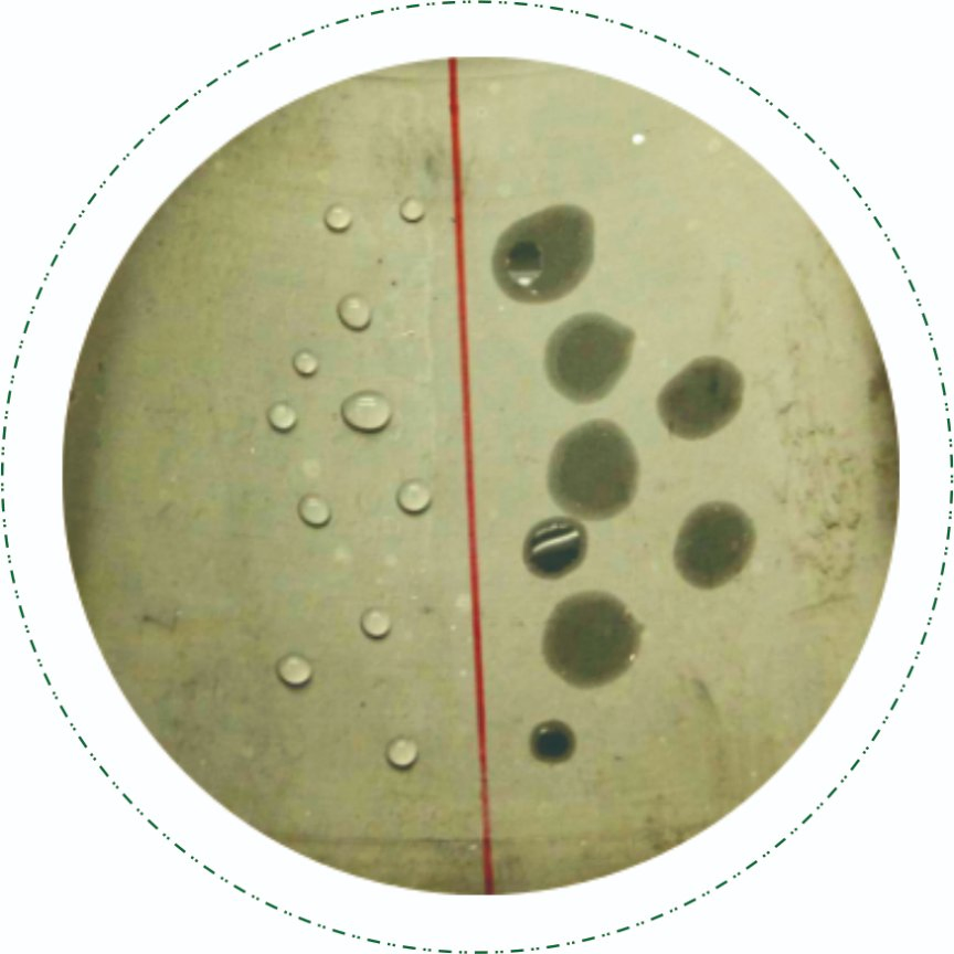China Leading Manufacturer Silicone Oil for Vulcanizing Agent Methyl Hydrogen Silicone Oil