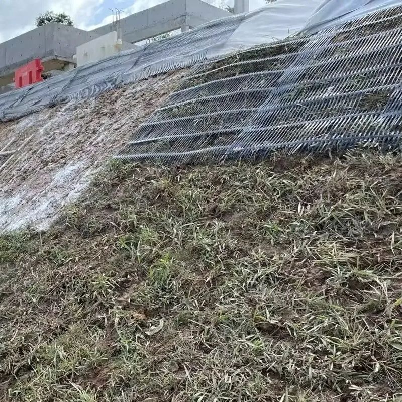 High-Strength HDPE Plastic Geogrids for Enhancing Roadbed Stability