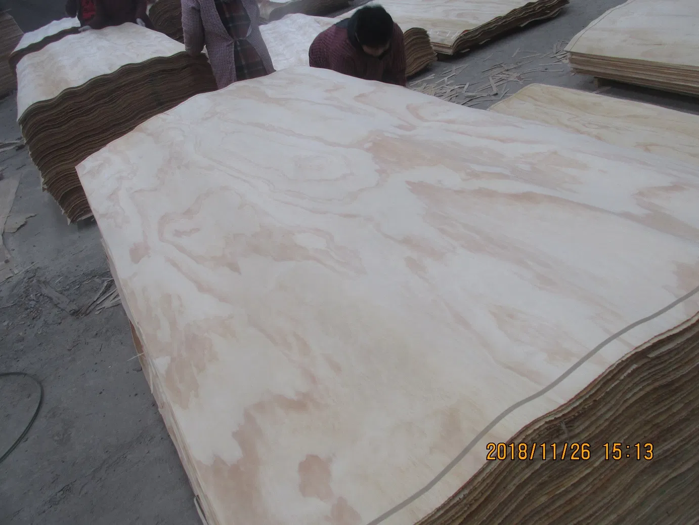 Pine Veneer Pine Veneer 0.6mm 0.7mm Radiata Pine Wood Veneer for Plywood Face and Back