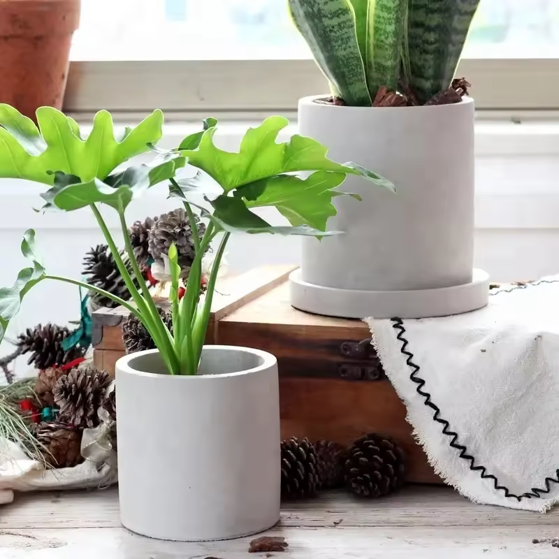 Modern Decorative Cement Flower Pot for Indoor Succulent Planter