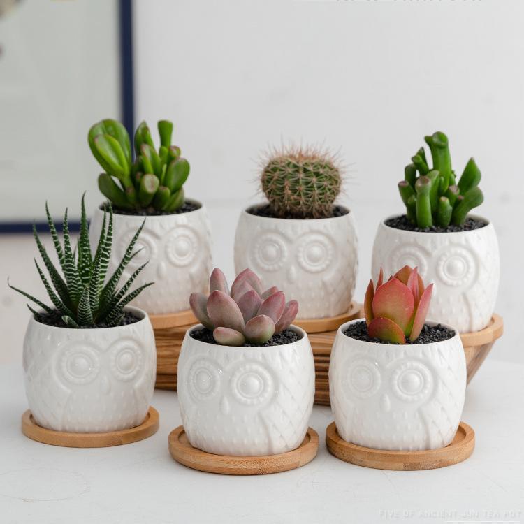 Горшок керамический белый сова с подносом