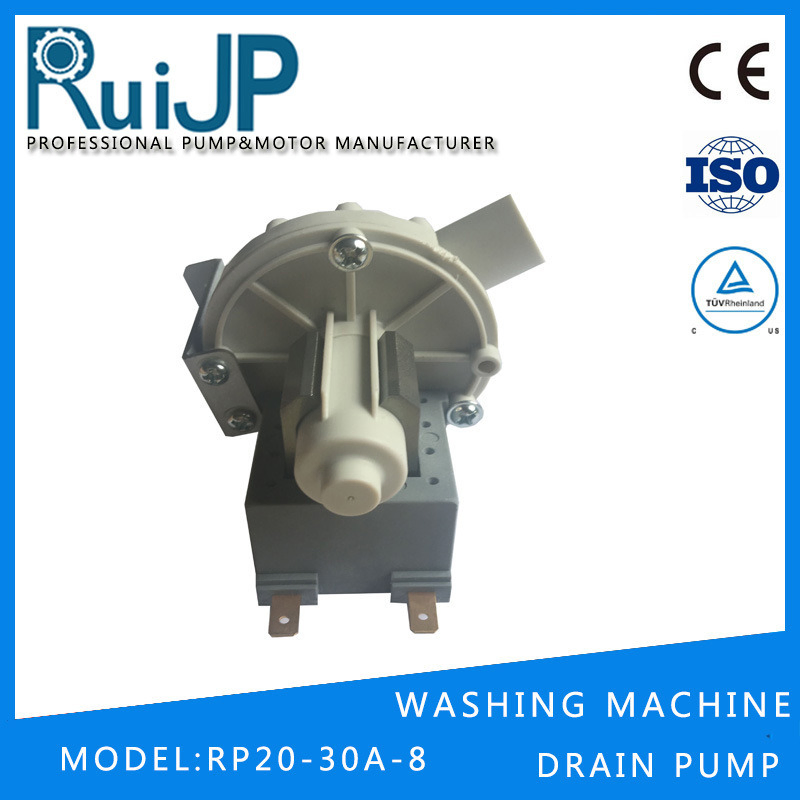 Ruijp 6.7L/Min Water Flow 1.0m Pumping Head AC&DC Pump Food Purifier