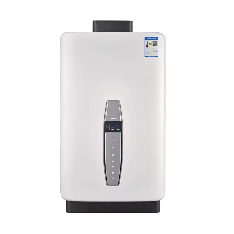 Flue Type Natural 12L 16L Gas Water Heater for Bathroom Shower