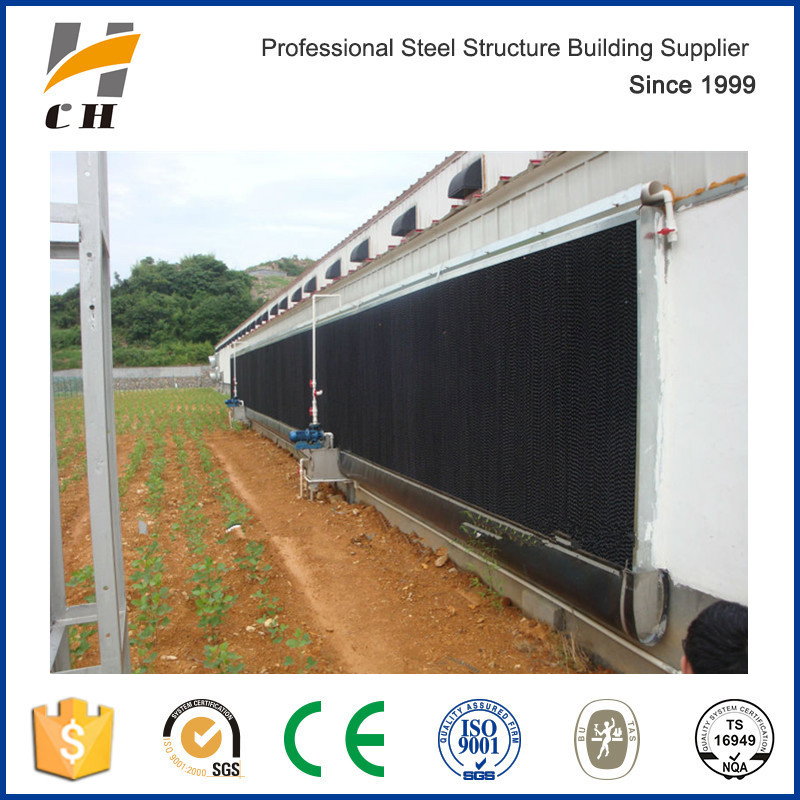 Professional Prefabricated Low Cost Chicken Shelter