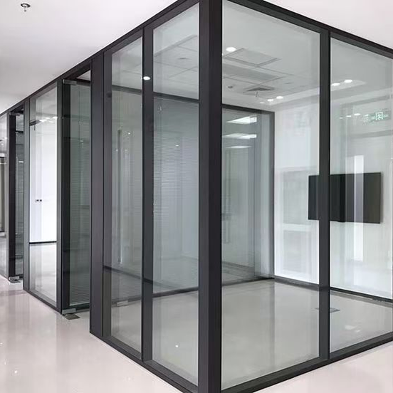 Decorative Single Double Glass Wall Partitioning Glass Wall with Flush Door Design