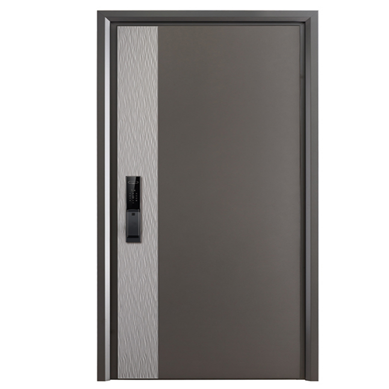 Functional Aluminum Door and Stainless Steel Gate for House Entrances