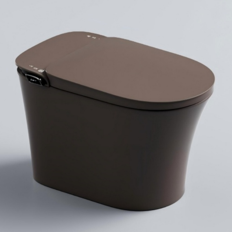 Modern Intelligent Toilet Ceramic Remote Control Intelligent Toilet Seat