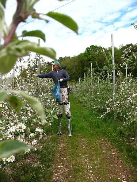 15-23 Inch Aluminium Adjustable Height Lifts Lifting Tools Drywall Tools Drywall Stilts for Painting Taping Sanding or Parades