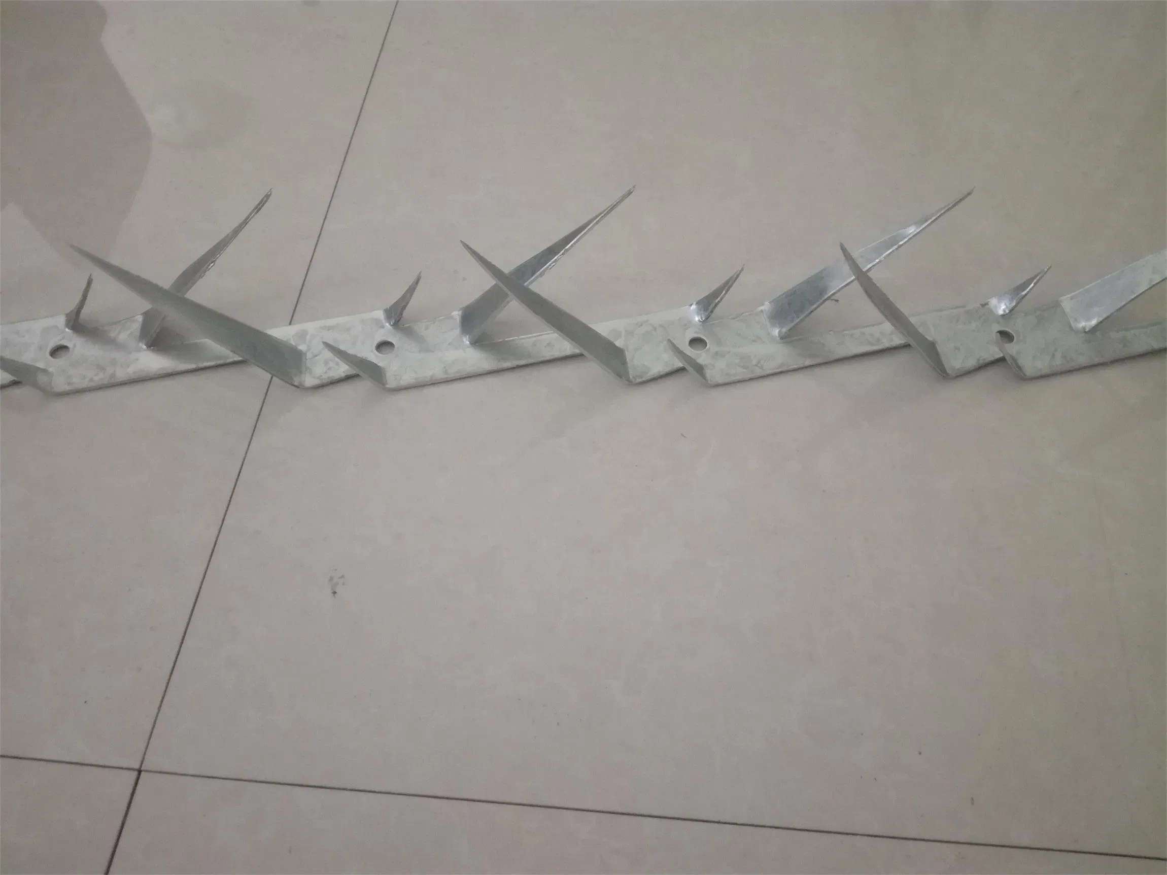 Galvanized Wall Spike Supplier