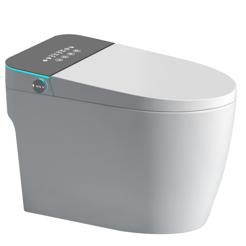 Simple and Popular Fashionable Ceramic Remote Control Intelligent Toilet