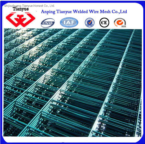 Dark Green PVC Coated Fence Netting / PVC Fence with Factory Price