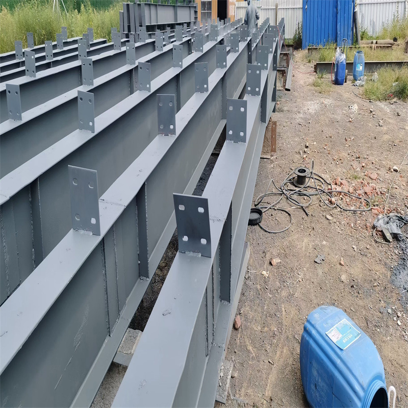 New Designing Wide Span Wall Framing Industrial Design Steel Structure Warehouse